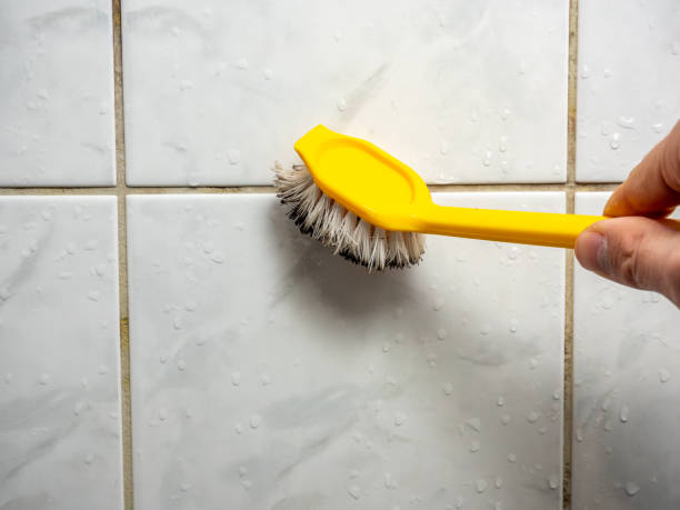 Best Attic Mold Removal  in Madisonville, TN