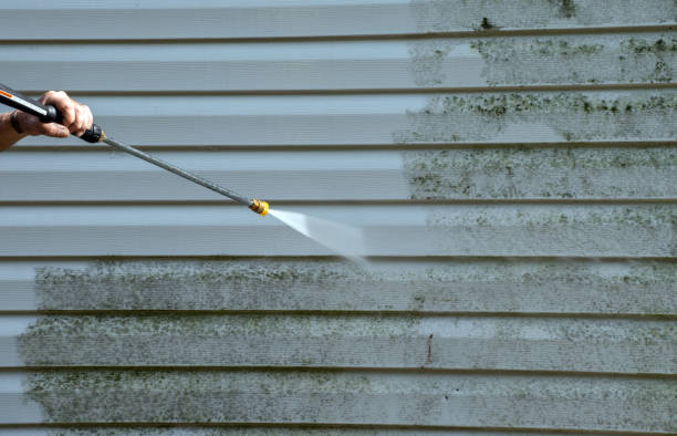 Mold Testing and Removal in Madisonville, TN