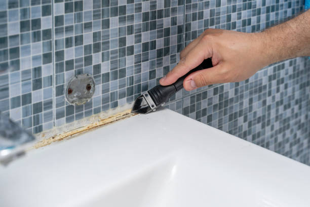 Best Commercial Mold Removal  in Madisonville, TN